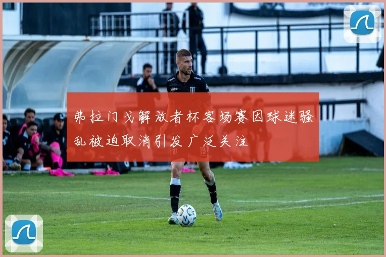 弗拉门戈解放者杯客场赛因球迷骚乱被迫取消引发广泛关注